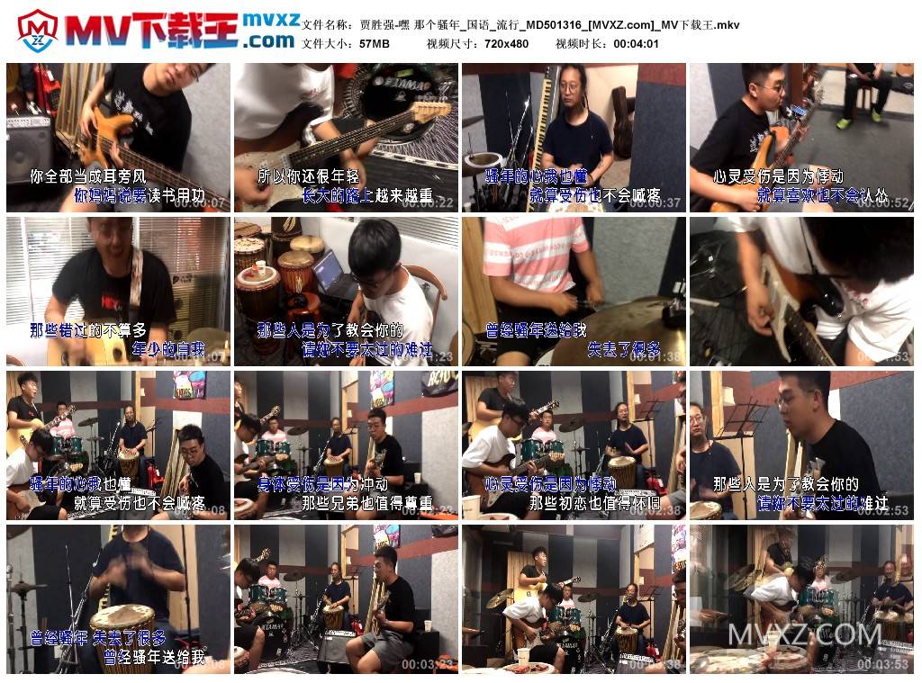 贾胜强-嘿 那个骚年_国语_流行_MD501316